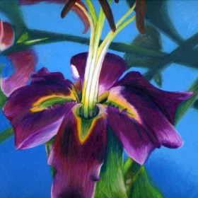 Joshann drawing purple lily prisma color