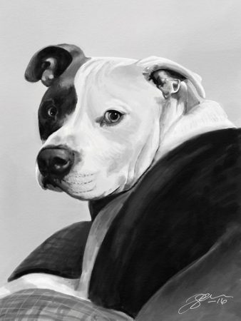 drawing of a dog, Apollo