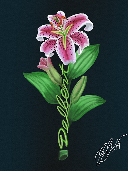Delbert Lily - Remembrance Drawing/Tattoo